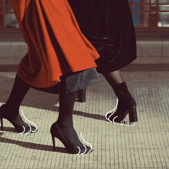 鲜于贞娥  – 고양이