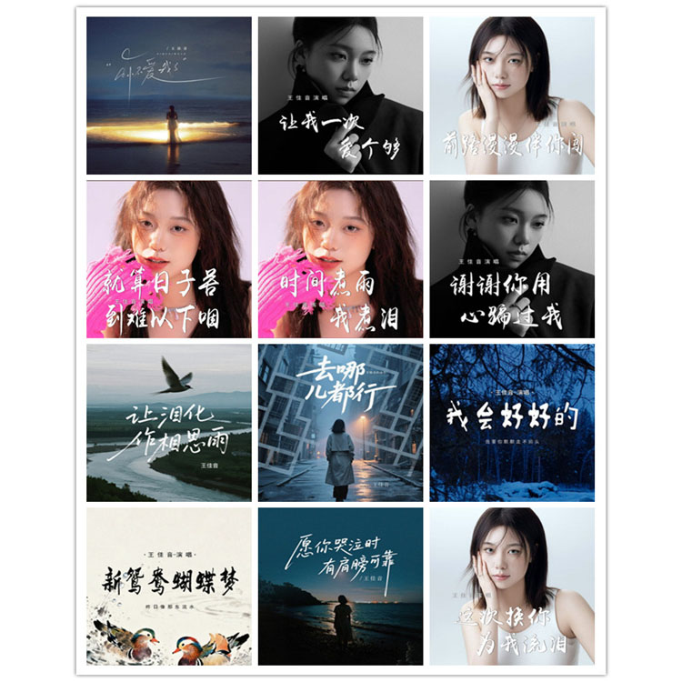 王佳音 – 单曲合集13 [12曲]