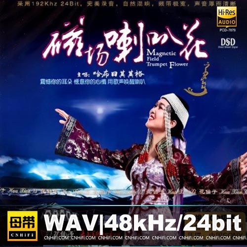 磁场喇叭花