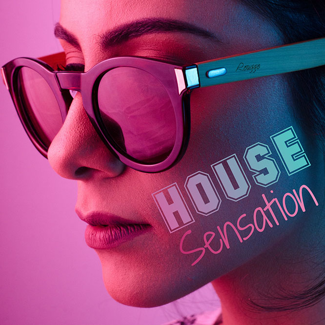 [电音] House Sensation