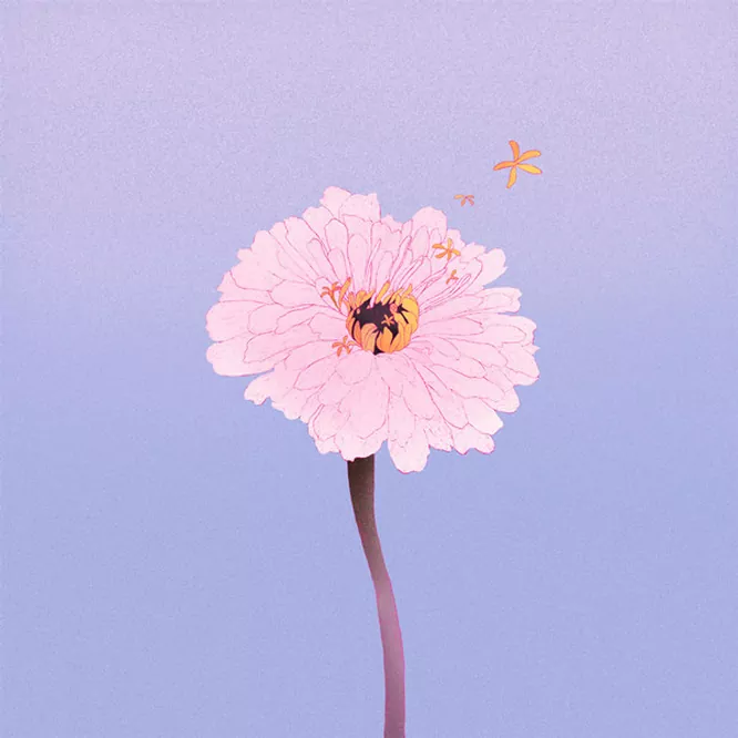 [单曲]茉ひる – Zinnia