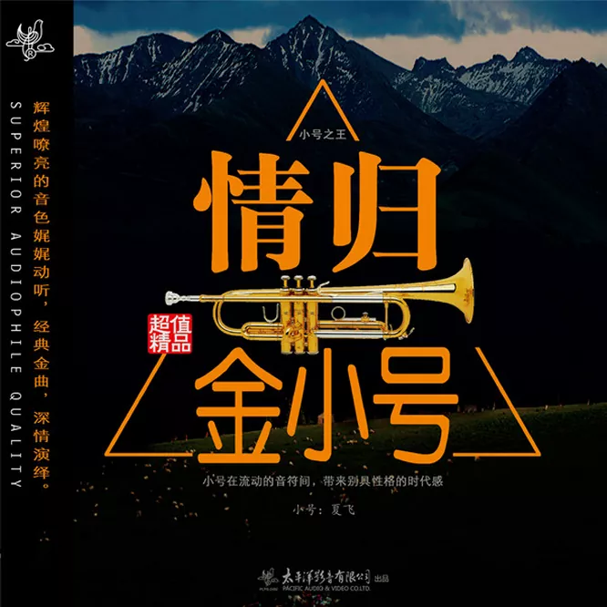 夏飞 – 情归金小号