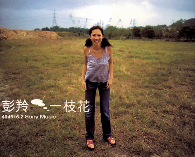 彭羚 – 一枝花