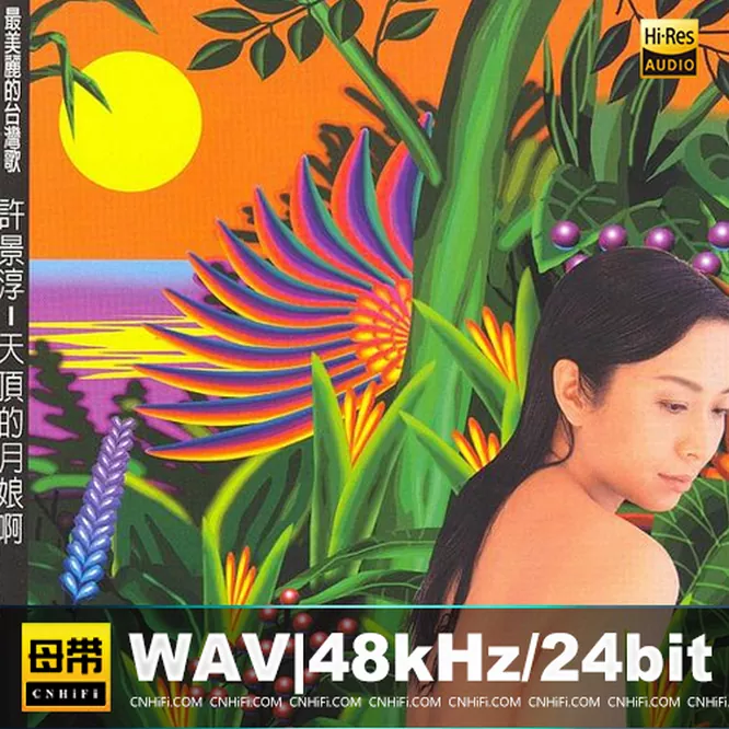 天顶的月娘啊