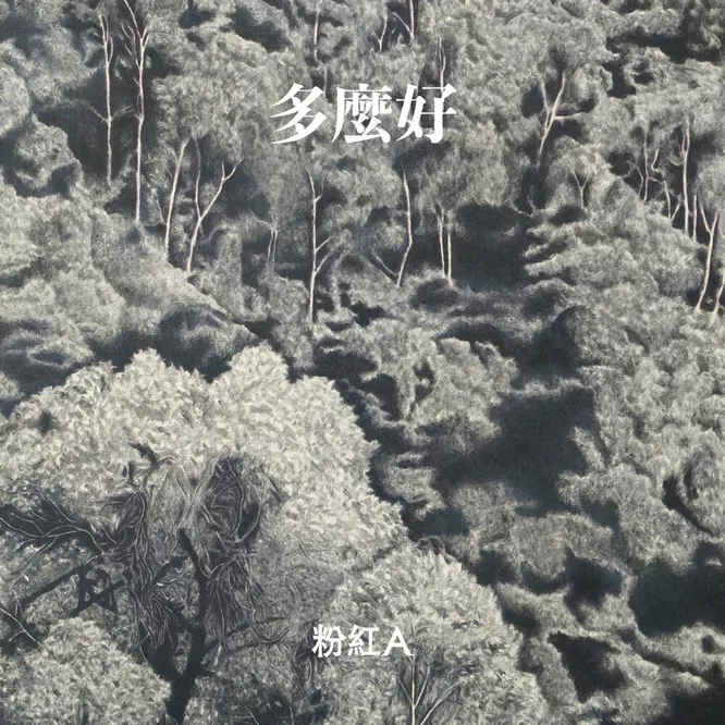 粉紅A  – 多麼好