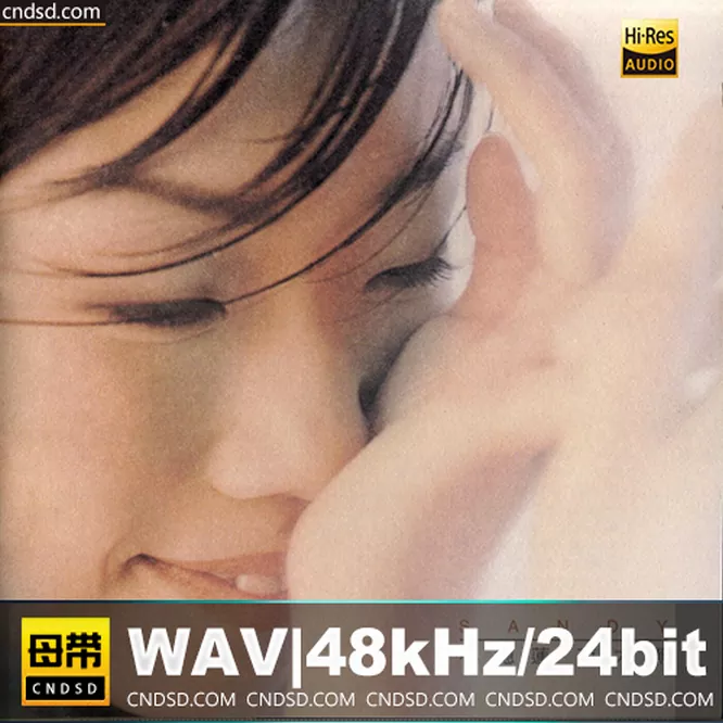 林忆莲 – 夜太黑