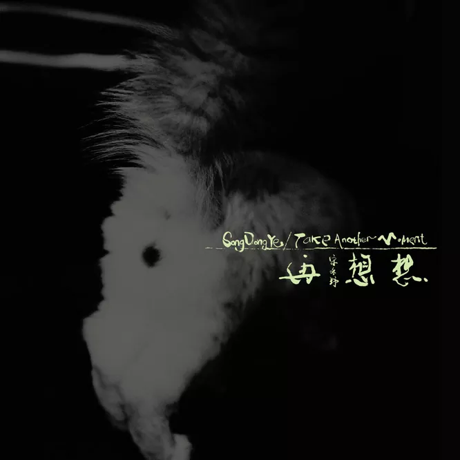 宋冬野  – 再想想
